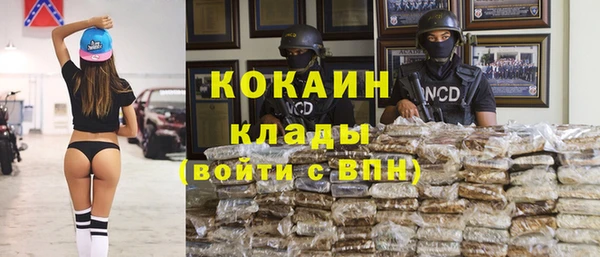 прущие грибы Балабаново