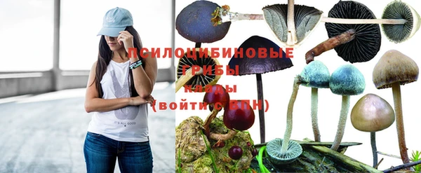 гашиш Балахна
