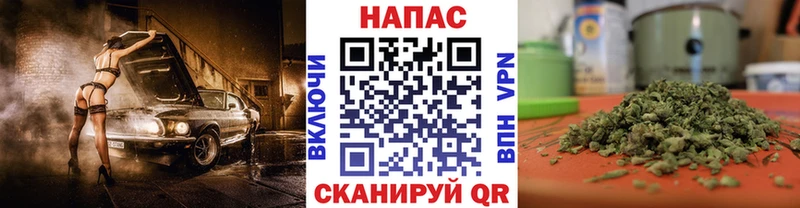 Бошки марихуана марихуана Гулькевичи